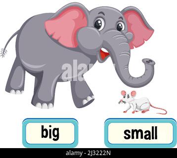 Opposite words for big and small illustration Stock Vector