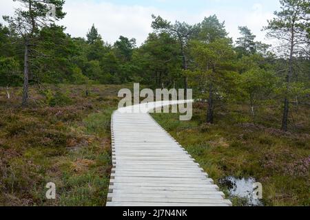 Black moor in the Rhoen, Bavaria, Germany, in autumn with a new moor path Stock Photo