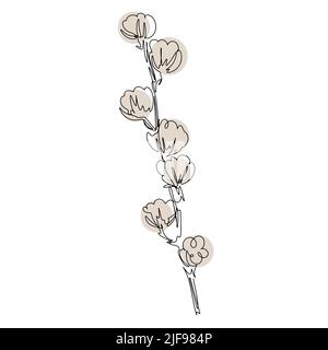 Cotton branch with full bolls line art vector. Botanical natural decoration cotton twig isolated illustration. Stem with buds one line Stock Vector