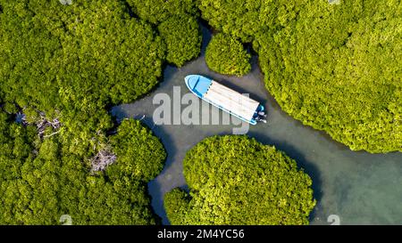 Aerial of the Mangrove forest, Farasan islands, Kingdom of Saudi Arabia Stock Photo