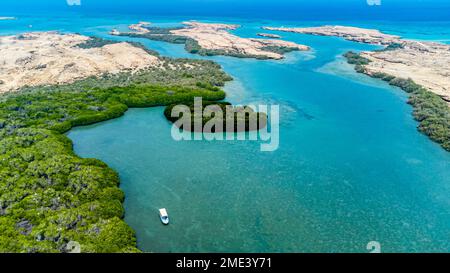 Saudi Arabia, Jazan Province, Aerial view of mangrove forest in Farasan Islands archipelago Stock Photo