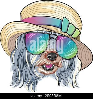 Vector dog Lowchen or Little Lion Dog in straw hat and trendy multicolored mirror sunglasses Stock Vector