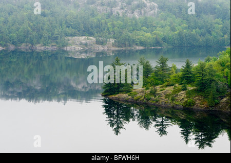 Foggy point and shorelines of Charlton Lake, Willisville, Ontario, Canada Stock Photo