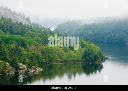 Foggy point and shorelines of Charlton Lake, Willisville, Ontario, Canada Stock Photo