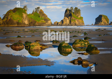 Pools of water at low tide, Point of the Arches, Olympic National Park Stock Photo