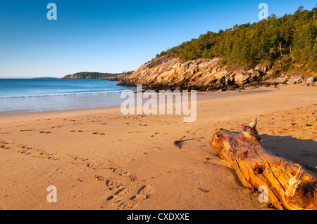 Sandy Beach, Acadia National Park, Mount Desert Island, Maine, New England, United States of America, North America Stock Photo