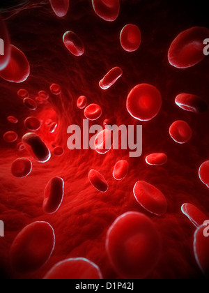 Red blood cells, artwork Stock Photo