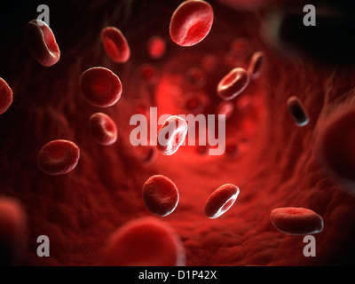 Red blood cells, artwork Stock Photo