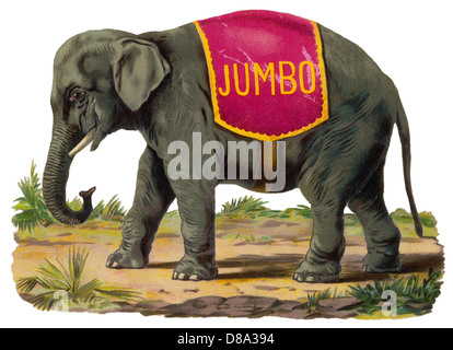 Elephant Jumbo Scrap Stock Photo