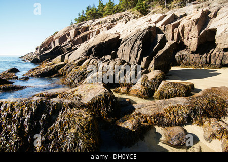 Shoreline, Sand Beach, Acadia National Park, Bar Harbor, Maine Stock Photo