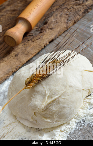 leavened dough for pizza and bread made with flour, water, yeast and salt Stock Photo