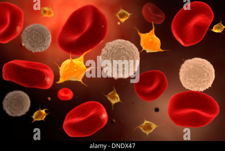 Conceptual image of platelets with white blood cells and red blood cells. Stock Photo