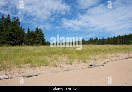 Acadia National Park, ME – September 4, 2014: Sand Beach stands on the edge of Acadia’s forests. Stock Photo