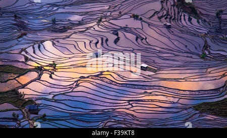 Aerial view of Terraced rice fields, Yuanyang, China Stock Photo