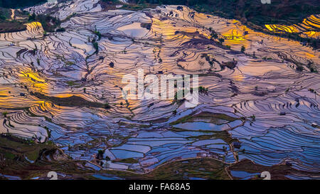 Aerial view of terraced rice fields, Yuanyang, Yunnan, China Stock Photo