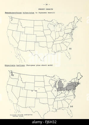 Distribution maps of some insect pests in the United States (1959) Stock Photo