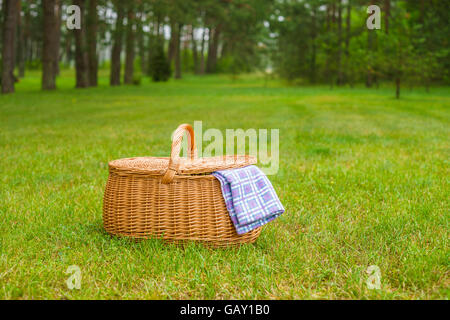 Picnic basket with blue white checkered napkin on grass. Summertime park lawn in the background Stock Photo