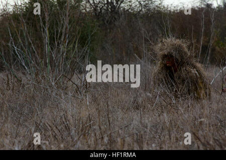 MARINE CORPS BASE CAMP PENDLETON, Calif. - A Marine attending the Prescout Sniper Course with 1st Marine Division Schools crawls through dead grass wearing his ghillie suit during a stalking exercise here, Nov. 20, 2013. The Marines moved silently and cautiously toward a mock objective, using their surroundings as camouflage. The course emphasizes skills needed for successful completion of the Scout Sniper Course. Hiding in plain sight, Marines tackle stalking against instructors 131120-M-PC317-011 Stock Photo