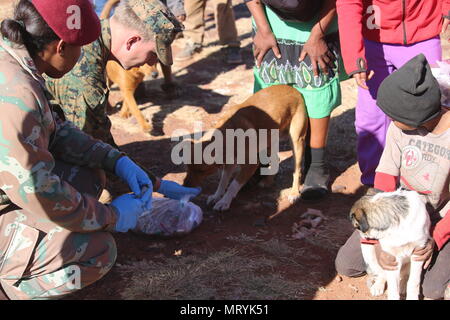 LCpl. Daniel Temple, 3rd Battalion, 25th Marines provides food for a dog while locals wait for free veterinary care during Mandela Day as part of Exercise Shared Accord 17 (SA17) in Postmasburg, South Africa, July 18, 2017. Mandela Day commemorates the lifetime of service Nelson Mandela gave to South Africa and the world, taking place every year on his birthday, with this years theme being, “action against poverty.” Stock Photo