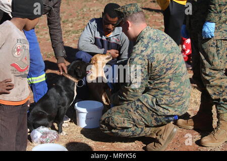 Sgt. Alex Vanlieshout, 3rd Battalion, 25th Marines provides water for dogs while locals wait for free veterinary care during Mandela Day as part of Exercise Shared Accord 17 (SA17) in Postmasburg, South Africa, July 18, 2017. Mandela Day commemorates the lifetime of service Nelson Mandela gave to South Africa and the world, taking place every year on his birthday, with this years theme being, “action against poverty.” Stock Photo