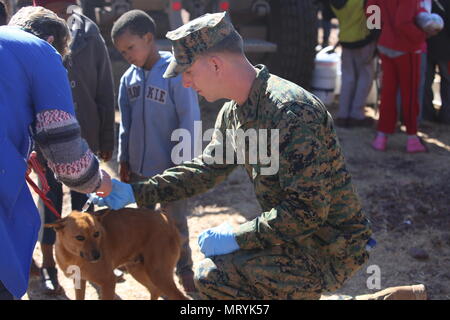 LCpl. Daniel Temple, 3rd Battalion, 25th Marines administers a flea vaccine to a dog while locals wait for free veterinary care during Mandela Day as part of Exercise Shared Accord 17 (SA17) in Postmasburg, South Africa, July 18, 2017. Mandela Day commemorates the lifetime of service Nelson Mandela gave to South Africa and the world, taking place every year on his birthday, with this years theme being, “action against poverty.” Stock Photo