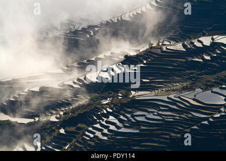 Rice terraces in the mountainous region of Yuanyang, in southern Yunnan, China. The terraces are filled with water during the winter months Stock Photo