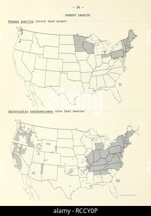 . Distribution maps of some insect pests in the United States. Insect pests United States; Insect pests Maps. . Please note that these images are extracted from scanned page images that may have been digitally enhanced for readability - coloration and appearance of these illustrations may not perfectly resemble the original work.. United States. Plant Pest Control Division. [Washington, Plant Pest Control Division, Agricultural Research Service] Stock Photo