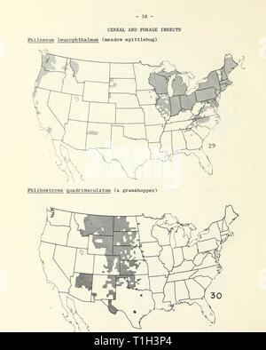 Distribution maps of some insect Distribution maps of some insect pests in the United States  distributionmaps00unit Year: 1959 Stock Photo