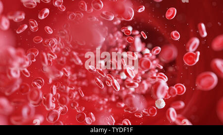 3d rendered medically accurate illustration of human blood cells Stock Photo