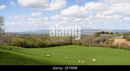 Panorama Blick über das Tal von Eden Stockfoto