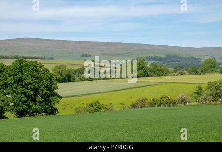 Blick über Eden Valley Stockfoto