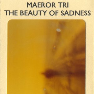 The Beauty of Sadness