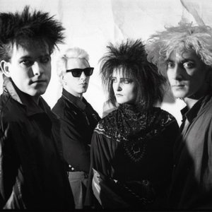 Avatar de Siouxsie and the Banshees