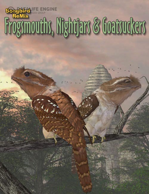 Songbird ReMix Frogmouths, Nightjars & Goatsuckers » Daz3D and Poses ...