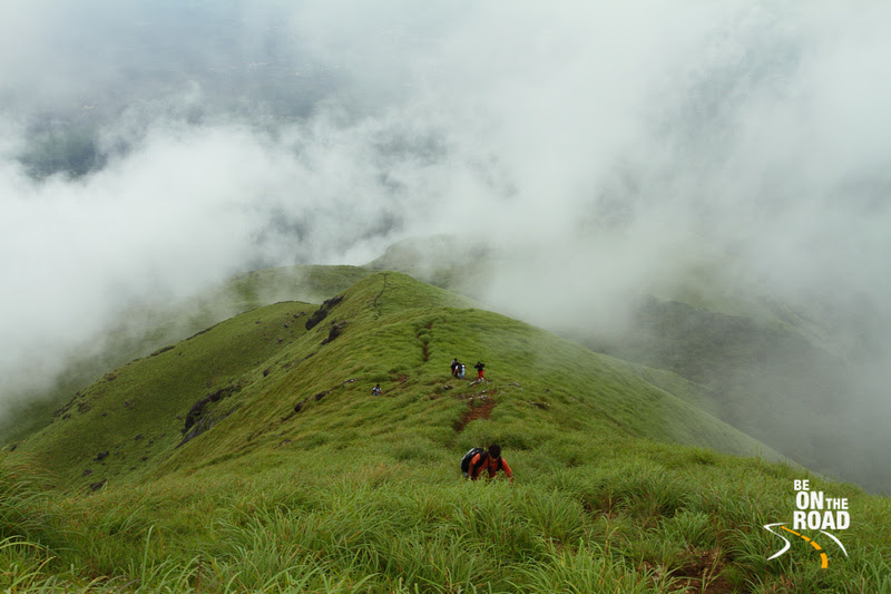 Green Chembra Peak Trek