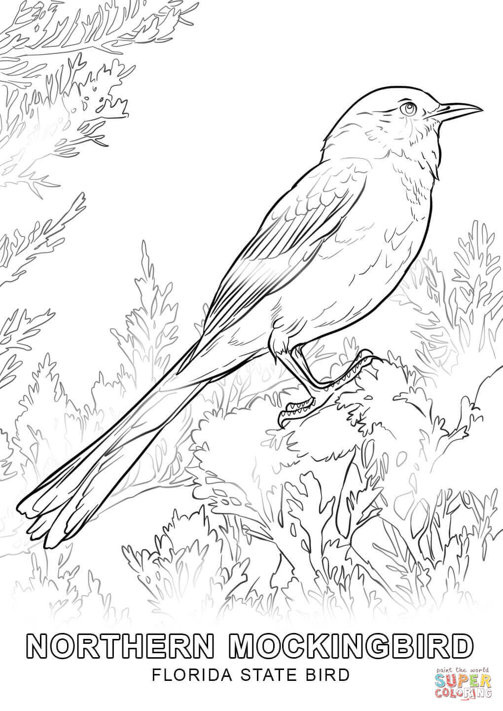 the Florida State Bird coloring pages