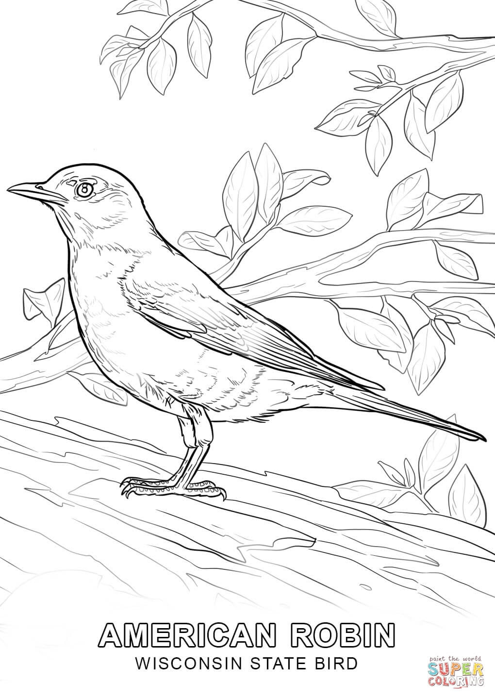 the Wisconsin State Bird coloring pages