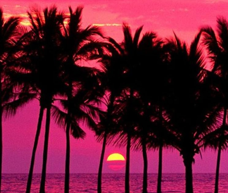 Palm Tree Wallpaper Pink