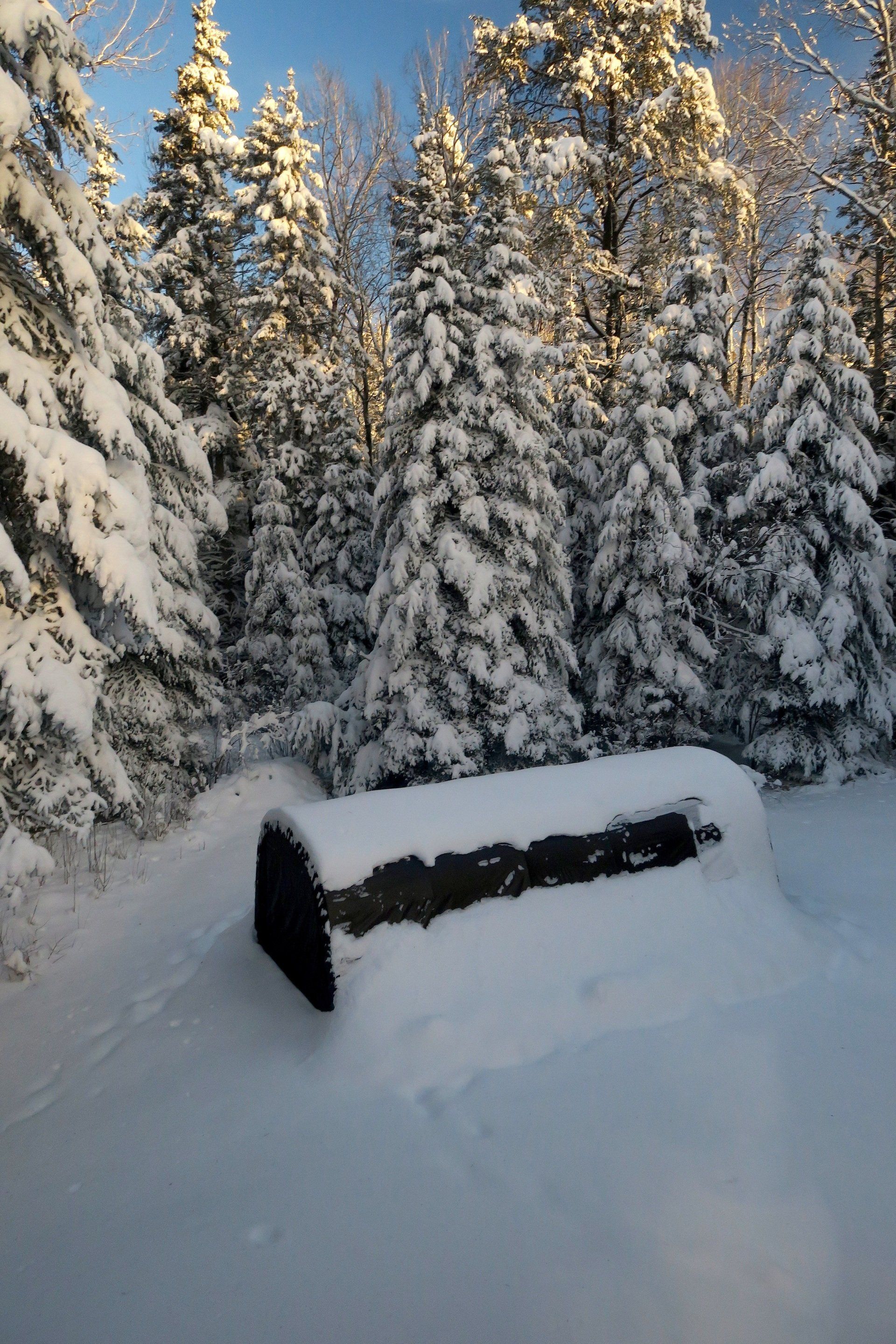 A log is covered in snow in the middle of a snowy forest.