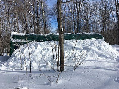 A large pile of snow is sitting in the middle of a forest.