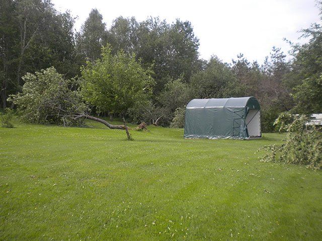 A green tent is in the middle of a lush green field