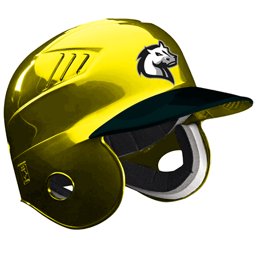 Softball Helmet Logo - Helmet Decals - Football, Baseball, Lacrosse, Softball, Hockey ...