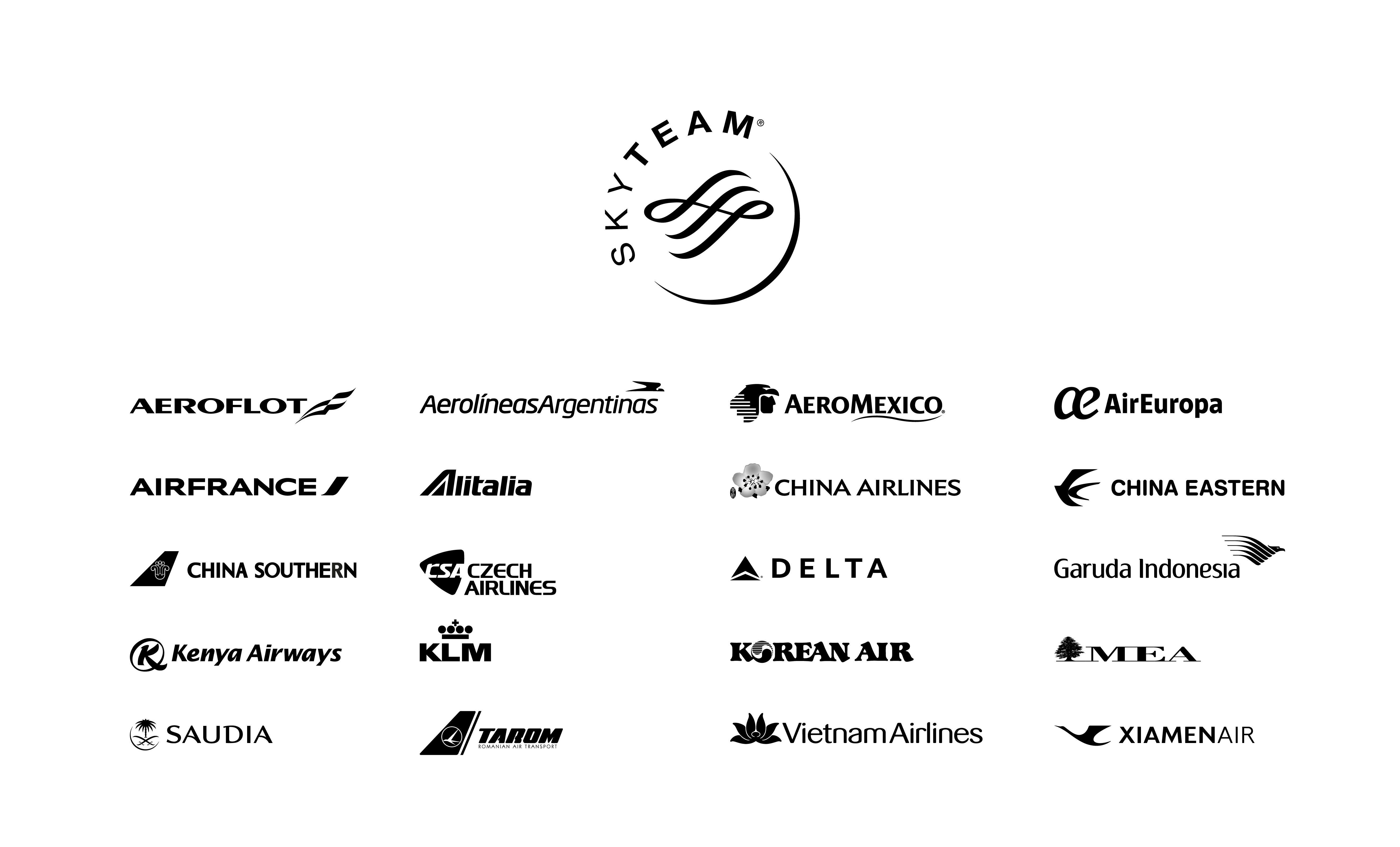 SkyTeam Logo - SkyTeam - Logo Downloads