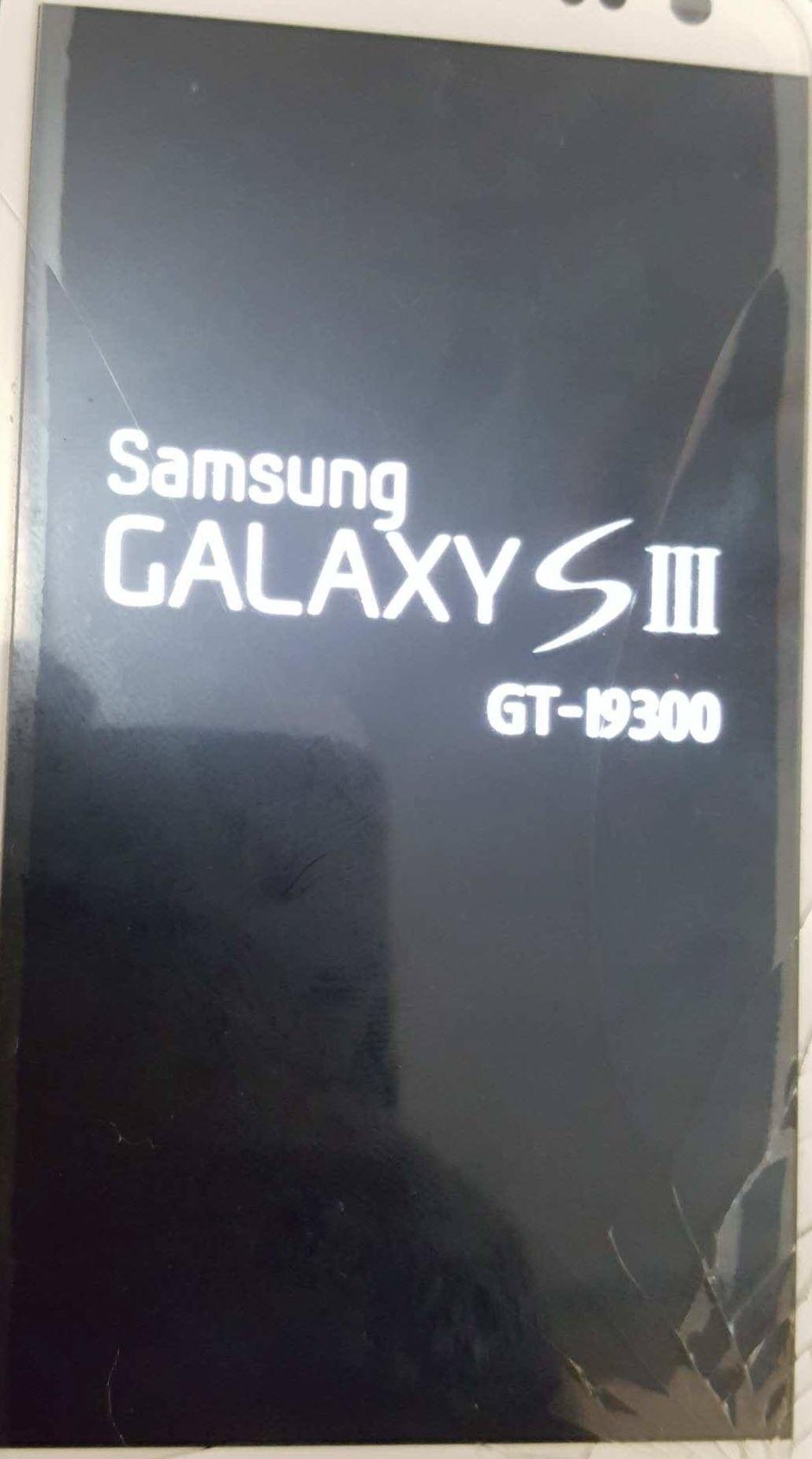 Samsung S3 Logo