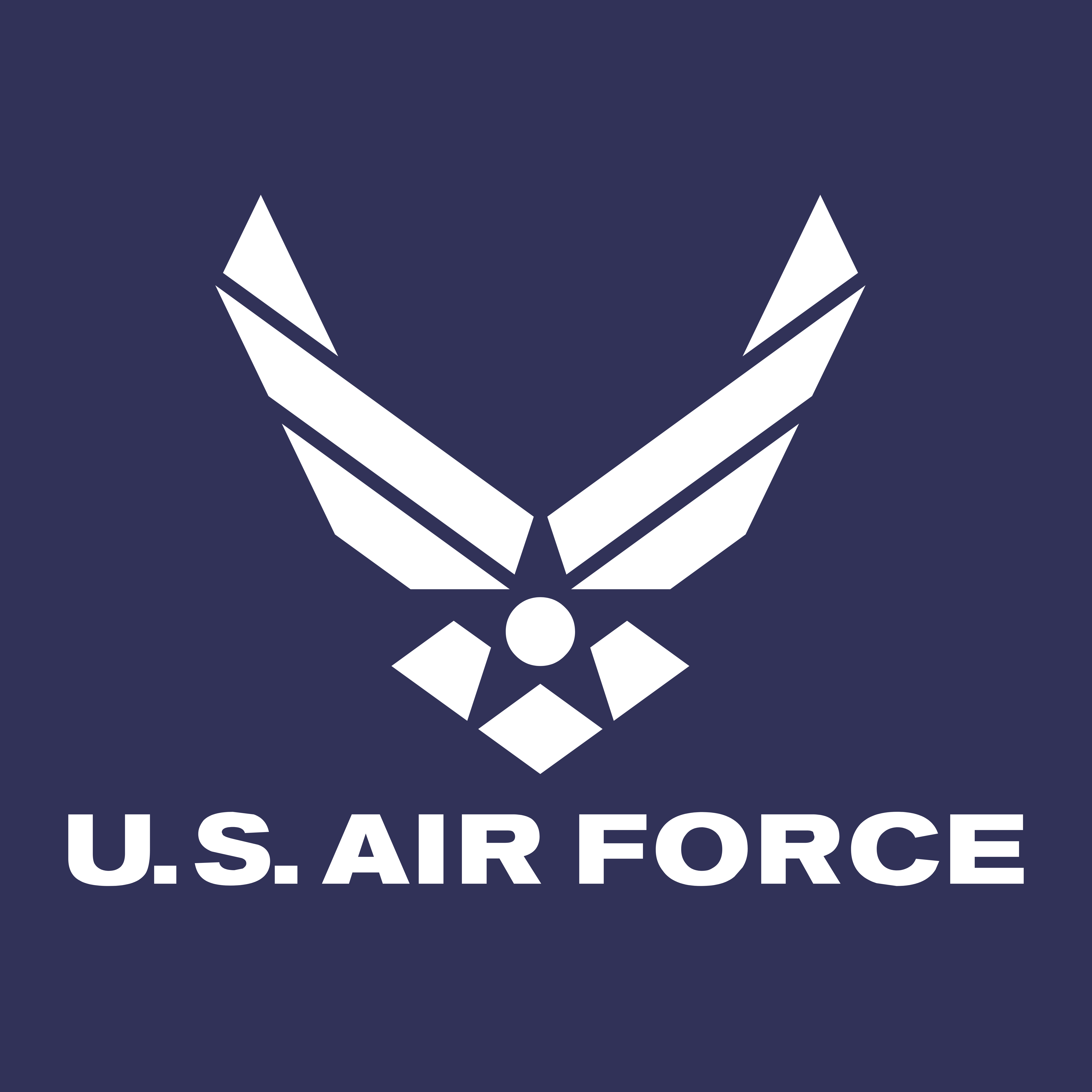 United States Air Force Veteran Logo