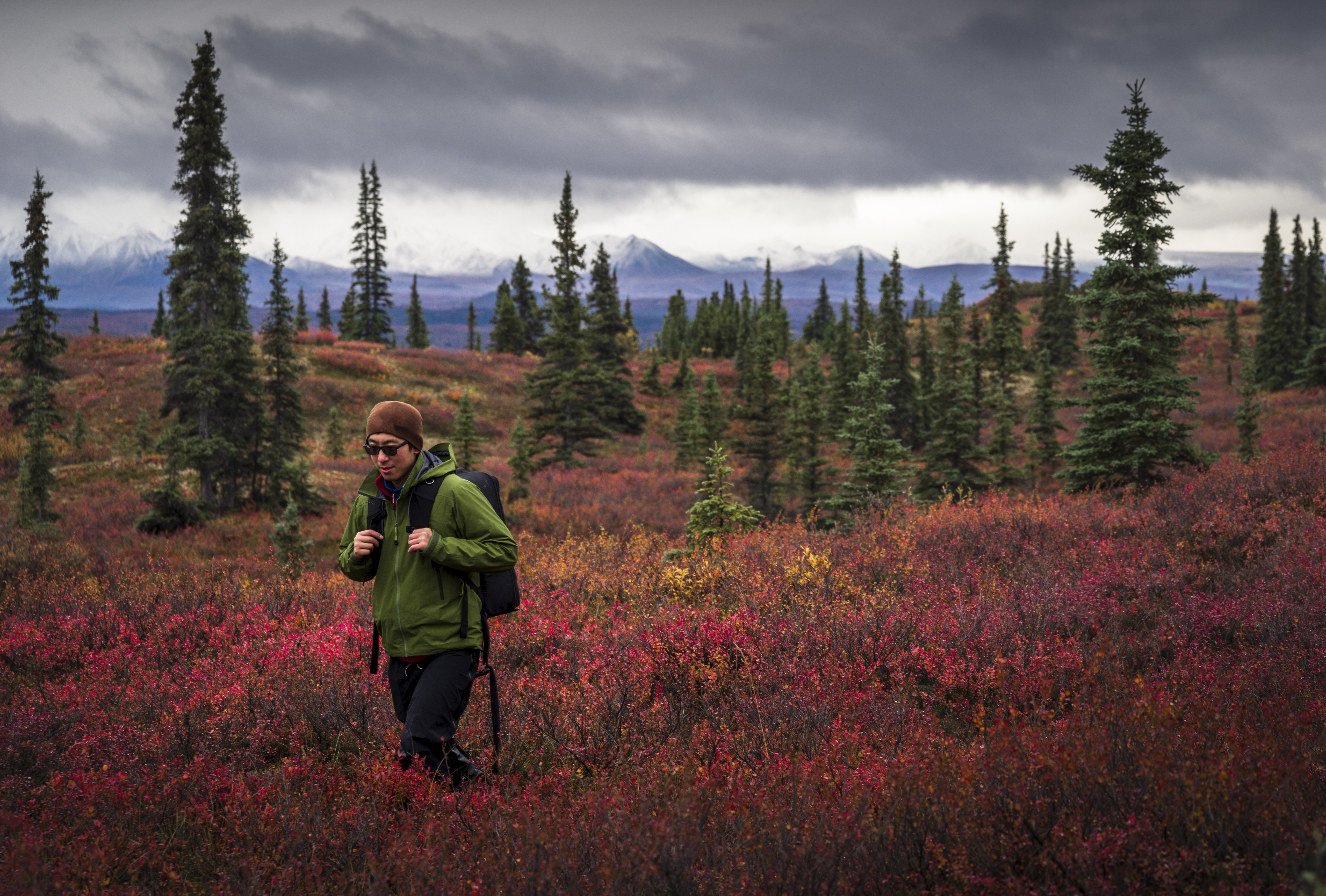 Asian man hiking near trees in landscape