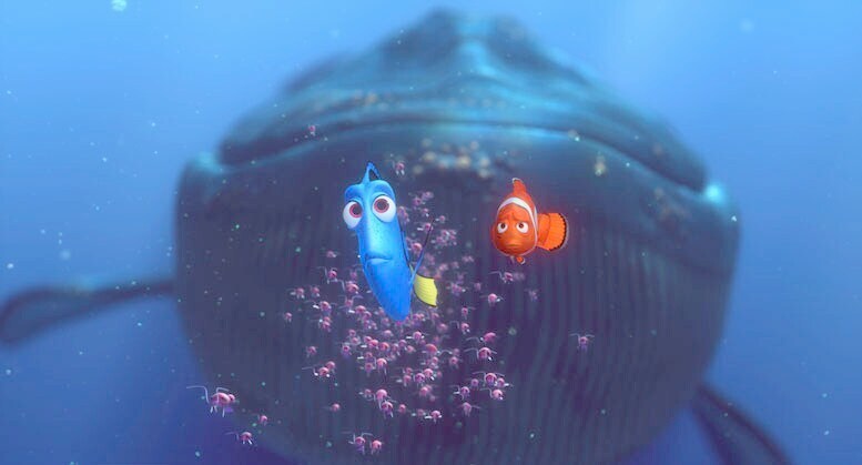 Inside Whale Finding Nemo