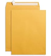 Blue Summit Supplies 100 10” x 13” Catalog Envelopes, Self Seal, For Mailing Catalogs, Magazines ...