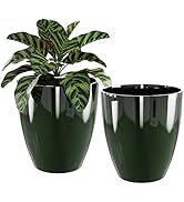 QCQHDU 10 inch Planters for Indoor & Outdoor Plants, 2 Pack Sturdy Plant Flower Tree Pots for Fro...