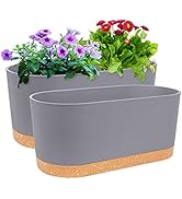 QCQHDU 2 Pack Window Planter Box 16” x 7", Self Watering Plant Pots for Indoor Plants Home Garden...